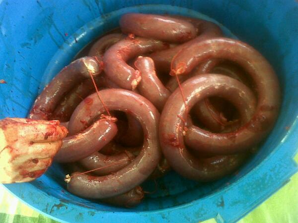 Pilarn19's tweet photo. Finde de matanza, campo y candela!!! @8Martuky8 http://t.co/iq7vVcDEVs