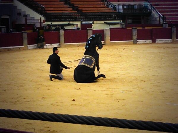 #DuendeEcuestre <a href="/pichinillas/">Ruben </a>