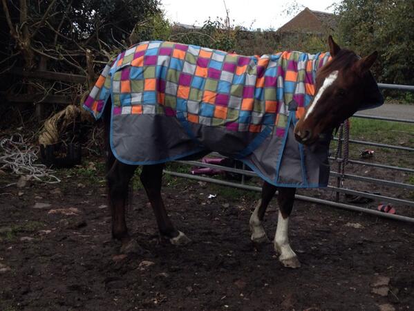 ConquerInHeels's tweet image. Wrapped my pony up like a piggy in a blanket #JackFrost