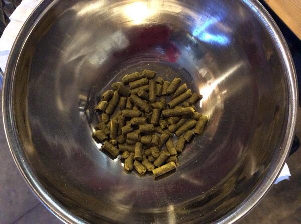 ajpfefferle's tweet image. Second hop addition...Fuggle hops. #HLBCbrownale #inyougo