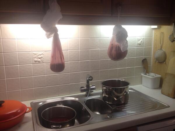 Alice Atkinson tweet media