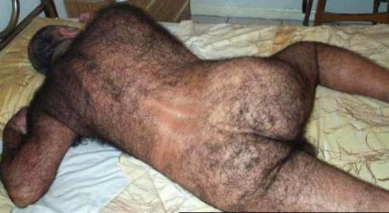 Gay care bear Adult video galleries milk