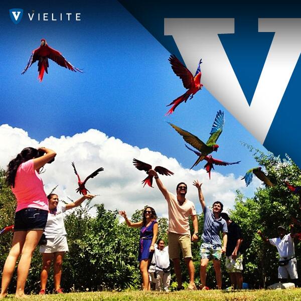 Playa del Carmen, un lugar paradisíaco, fue parte de una #experienciaVIELITE ¿Te gustaría vivir de cerca la próxima?