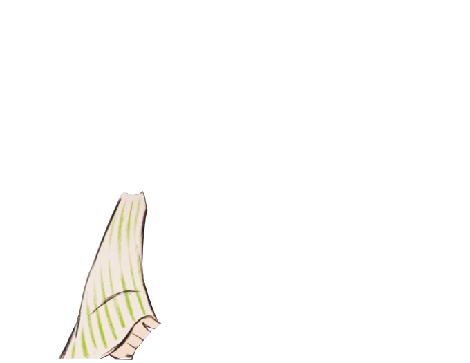かぐや姫の物語のtwitterイラスト検索結果 古い順 かぐや姫の物語のtwitterイラスト検索結果 古い順