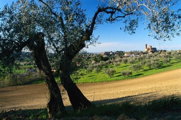 Un #weekend a spasso tra le geometrie dei Giardini dell’ #EmiliaRomagna travelemiliaromagna.it/?p=27870