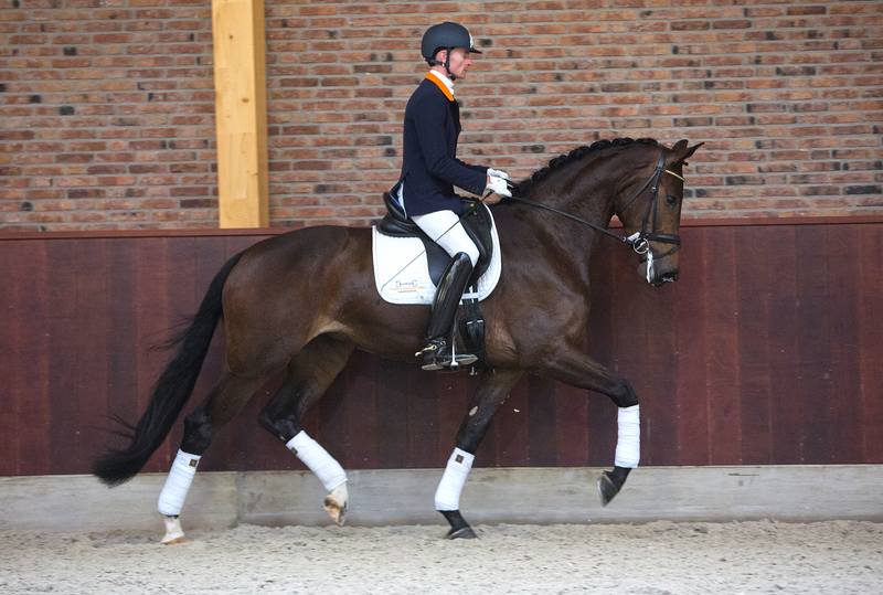 Bretton Woods tweet media