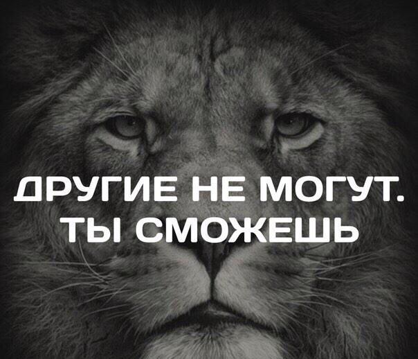 SourceCode_by's tweet image. 
