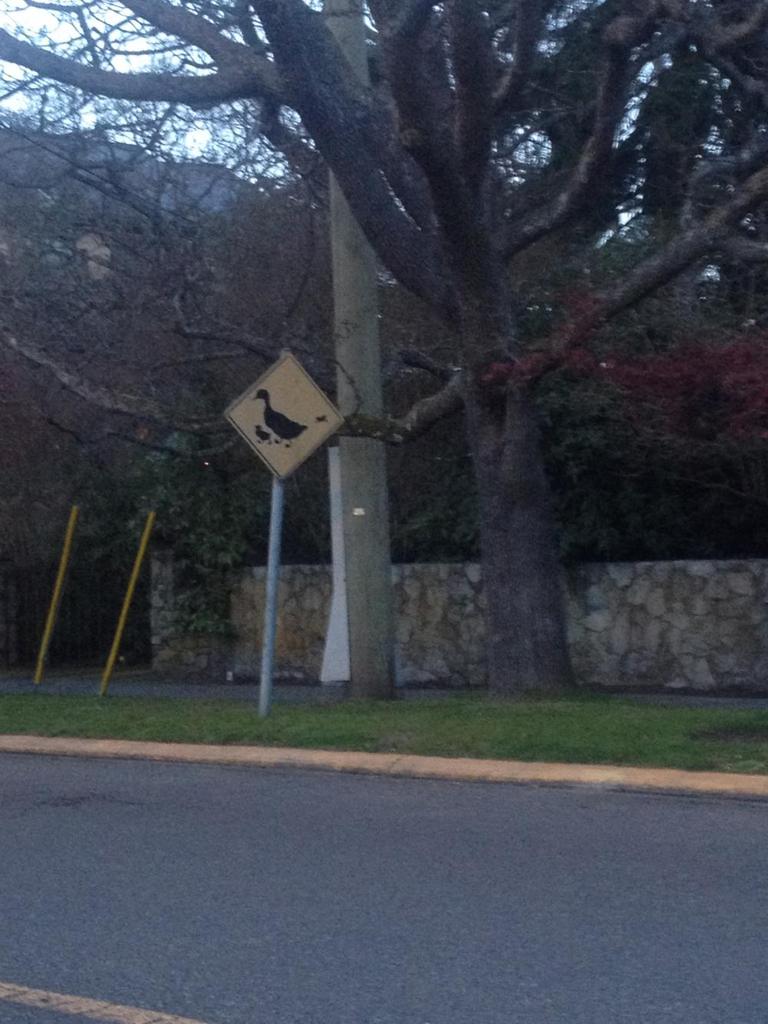 VibrantVictoria's tweet image. #OakBay's signs show sense of humour, but the new Shhh! sign is all business vibrantvictoria.ca/forum/index.ph… #yyj