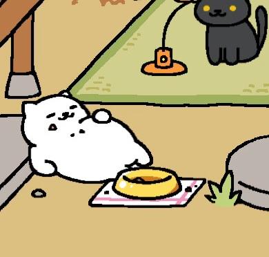 ジボ On Twitter 女童まじまんぞくさん Http T Co Dq6hpopniy