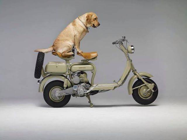 1952 Lambretta 125 D. Italy