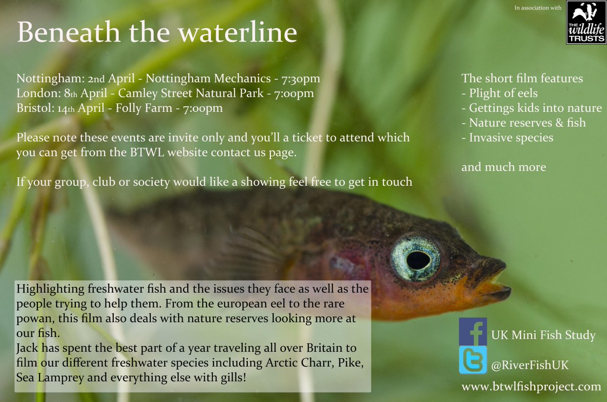 Britains Hidden Fishes (@riverfishuk) on Twitter photo Still free tickets for this email for info <a href="/AnglingTrust/">Angling Trust</a> <a href="/EnvAgency/">Environment Agency</a> <a href="/CanalRiverTrust/">Canal & River Trust</a> <a href="/WildTroutTrust/">The Wild Trout Trust</a> <a href="/GRT_Updates/">Grayling Res. Trust</a> Still free tickets for this email for info <a href="/AnglingTrust/">Angling Trust</a> <a href="/EnvAgency/">Environment Agency</a> <a href="/CanalRiverTrust/">Canal & River Trust</a> <a href="/WildTroutTrust/">The Wild Trout Trust</a> <a href="/GRT_Updates/">Grayling Res. Trust</a>