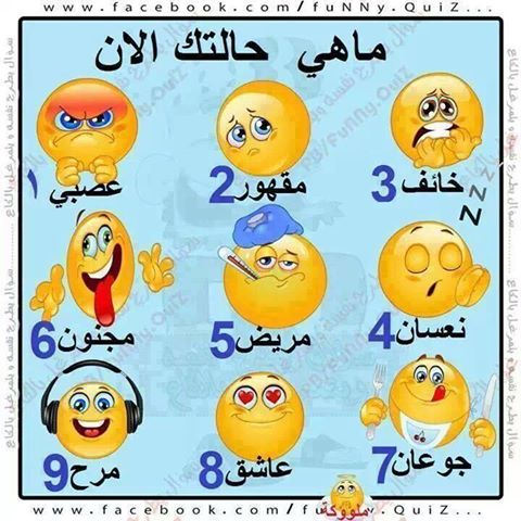 hodafathy14's tweet photo. http://t.co/QXOTNXWs37