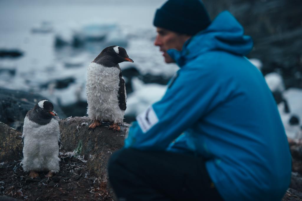 AntarcticaRu's tweet photo. #ЛьюисПью: "Пингвины Генту такие милые!"
#5Swims http://t.co/bN7LsxVvKA