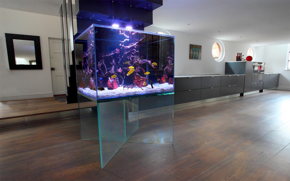 AquariumArch's tweet photo. Floating #Freshwater #Aquarium in #London Read more about it http://t.co/yPtAu90lb8 http://t.co/kTjYhGVvHF