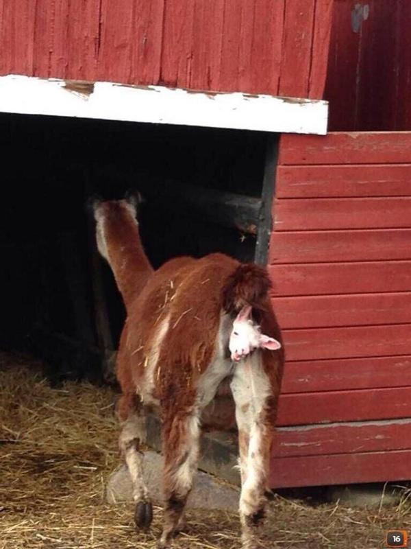 When you see all your friends hanging out and you can't cuz you not born yet