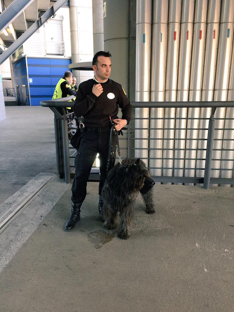 SecurityDogs tweet media