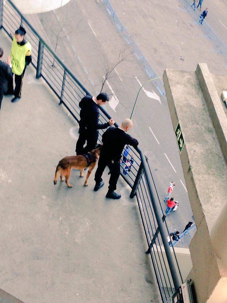 SecurityDogs tweet media