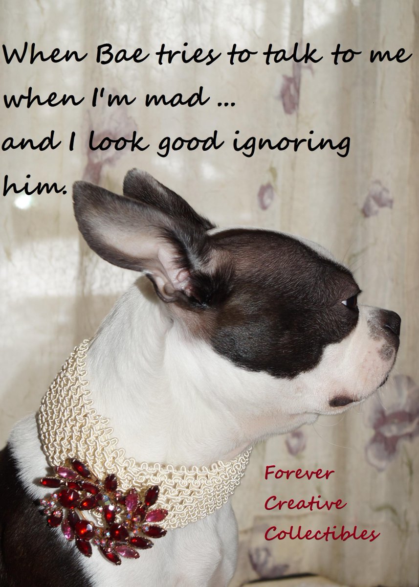 ForeverCreative tweet picture