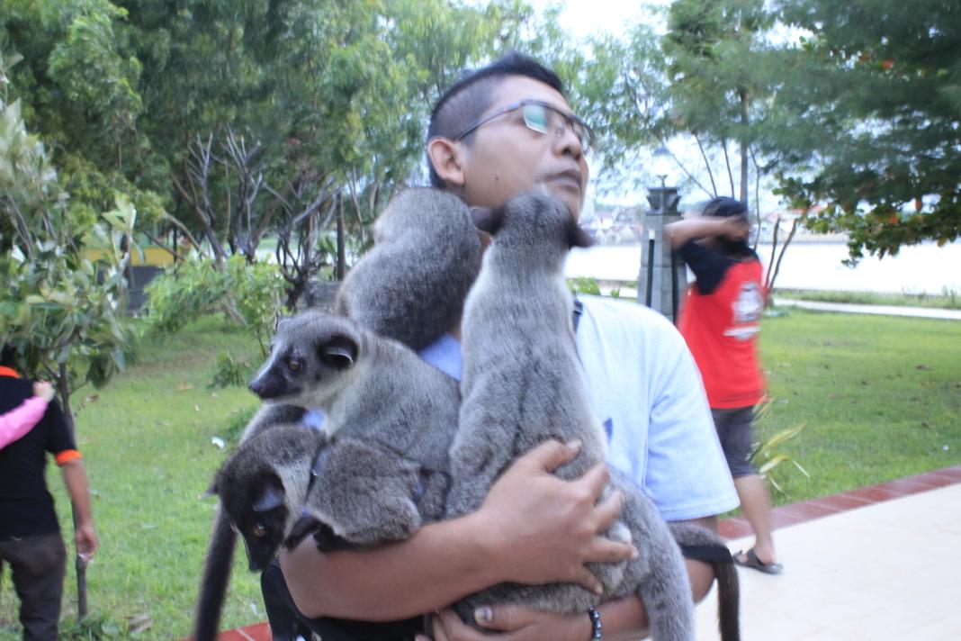 Manusia akar dari MULTI nih gaes..