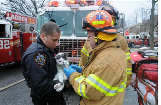 NYPD 123rd Precinct tweet media