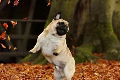 TeenageFunLife's tweet photo. When you realize the week is half over http://t.co/lkv4bpSUCT