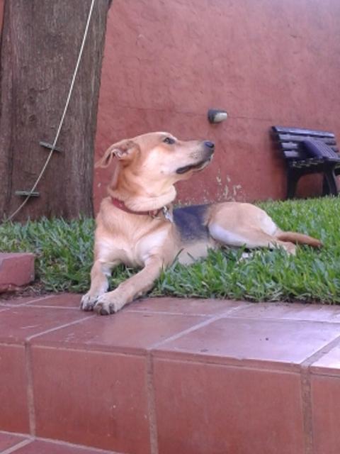 LuliPando's tweet photo. Mi gordo besho http://t.co/wiDooPsvWs