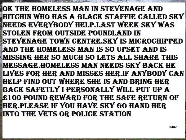 FurbabiesUk's tweet image. *¨¨*:•:*¨¨*:•URGENT APPEAL FOR STOLEN HOMELESS MAN'S DOG•:*¨¨*:•:*¨¨* STEVENAGE AREA