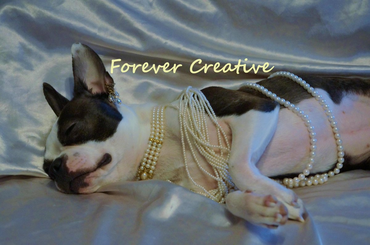 ForeverCreative tweet picture