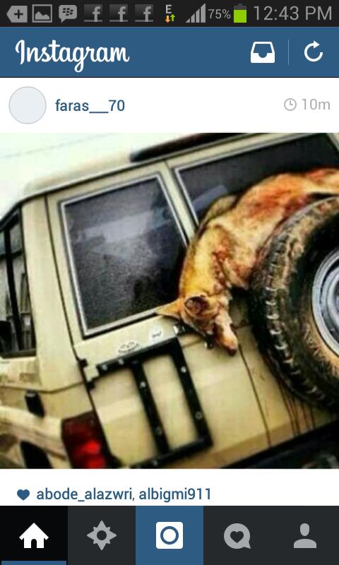 اورنس اورنس (@oransalanze) on Twitter photo 