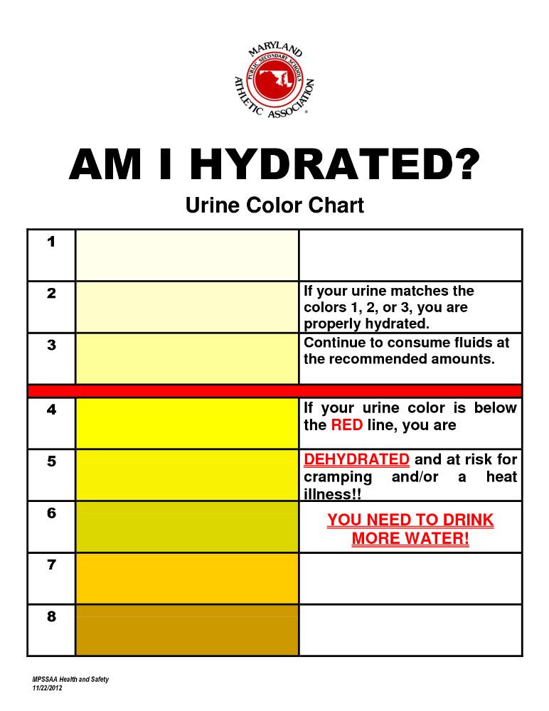 Желтая моча нормально. Urine Color Chart. Urine Chart. Диаграмма цвета мочи. Желтая моча.