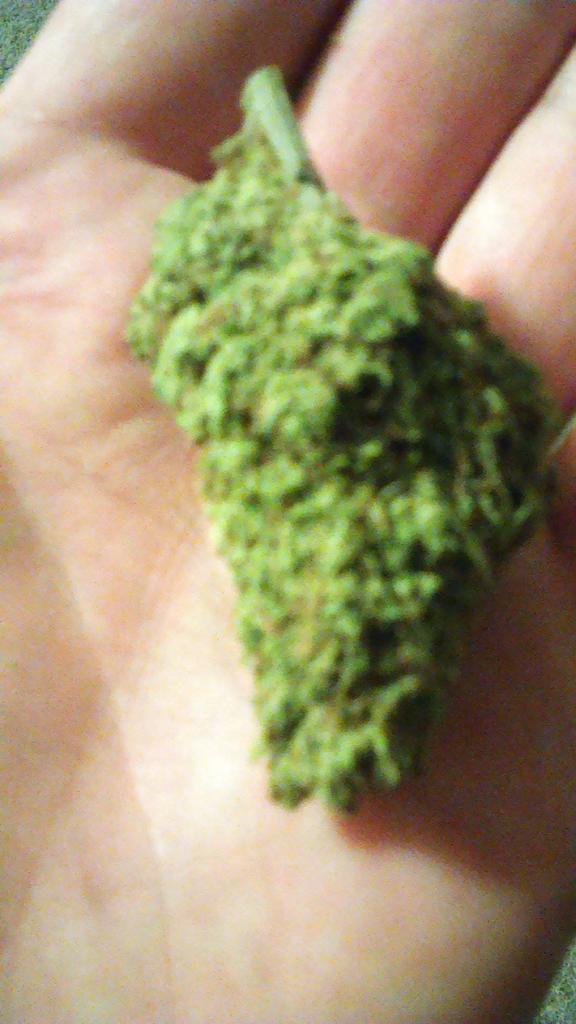 munchkill32's tweet image. Yummy