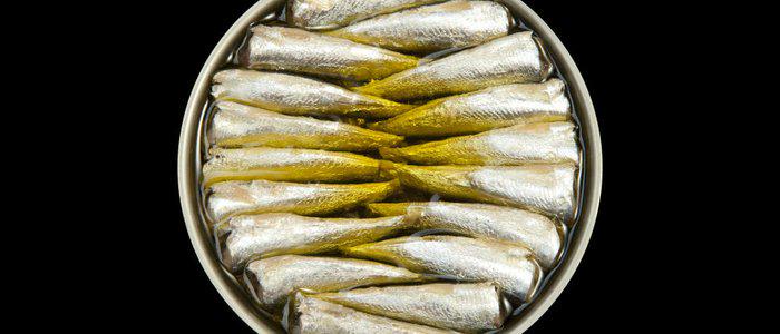Салака шпроты. Килька шпроты. Как называется рыба в шпротах. Европейский шпрот рыба. Шпроты (консервы).