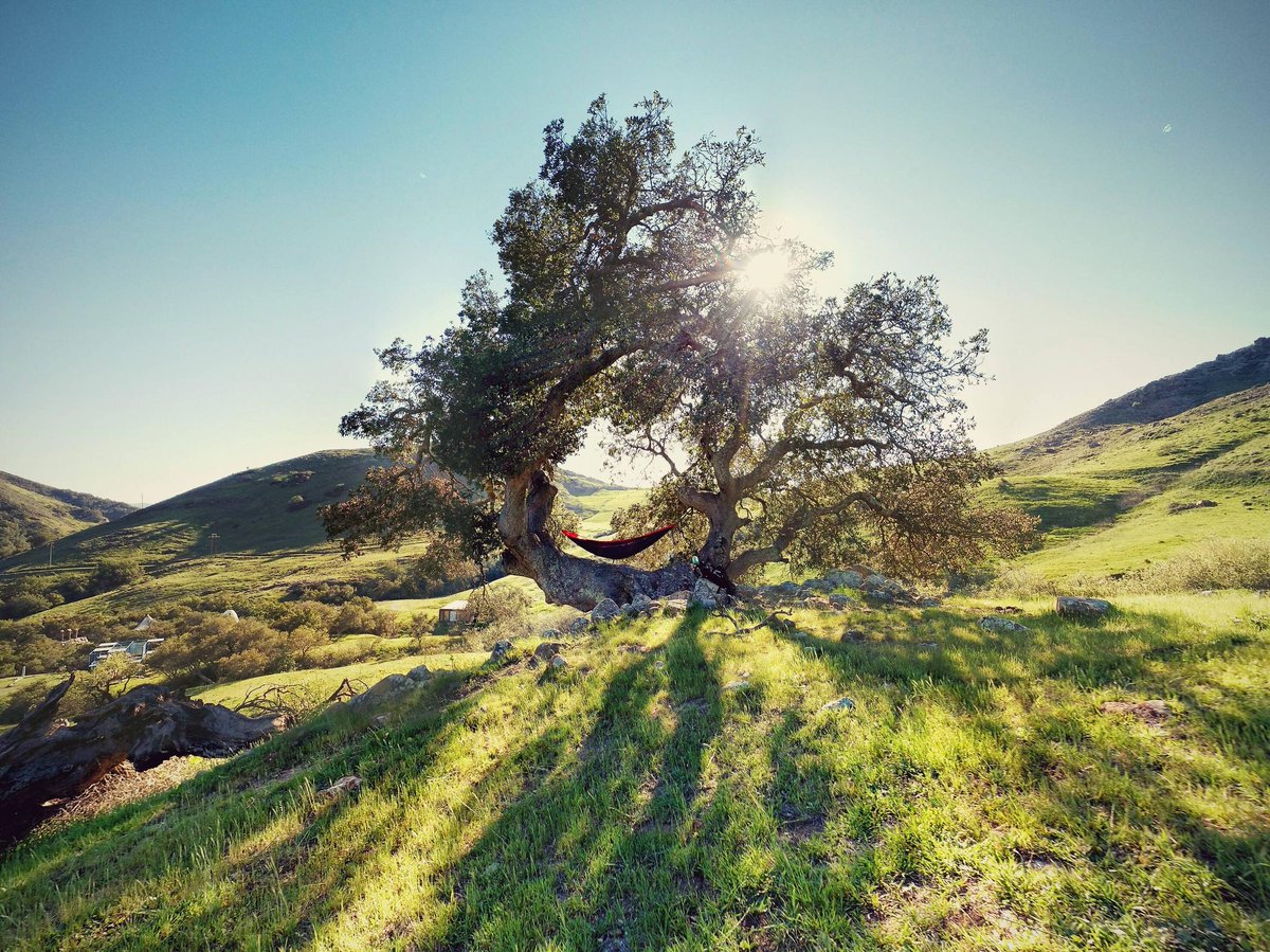 ENOHammocks's tweet photo. #HappyHumpDay! We're half way there to find epic hammocking spots like this one :-) Pic by @CarterJWilson http://t.co/iUdiaQFoDZ