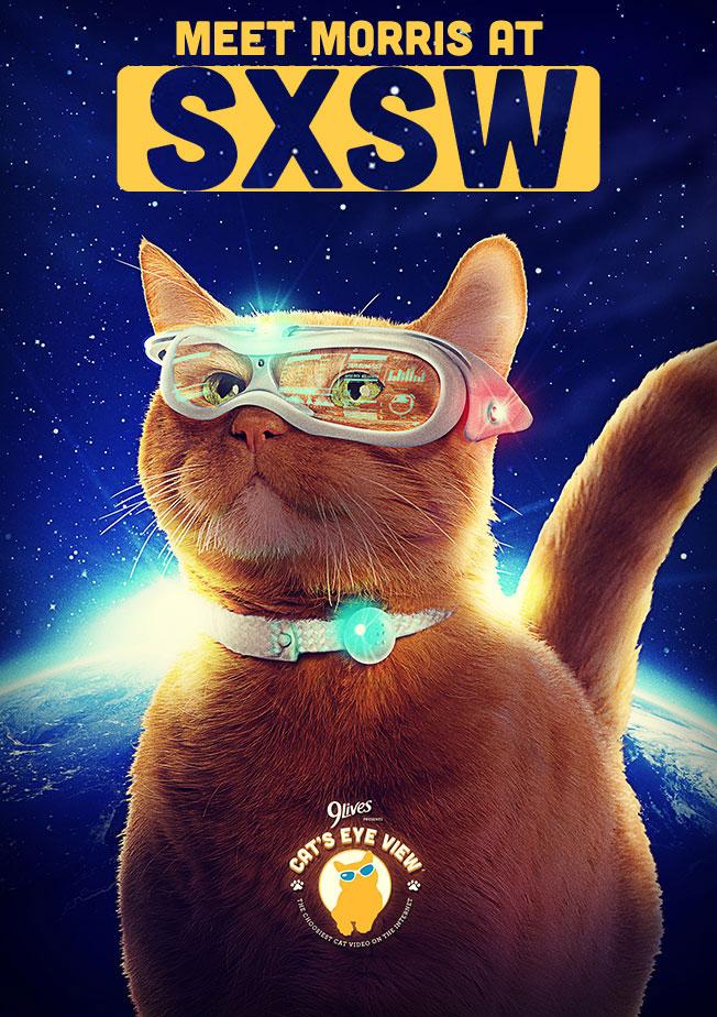 Morris the 9Lives® Cat on Twitter: Morris the 9Lives® Cat on Twitter: