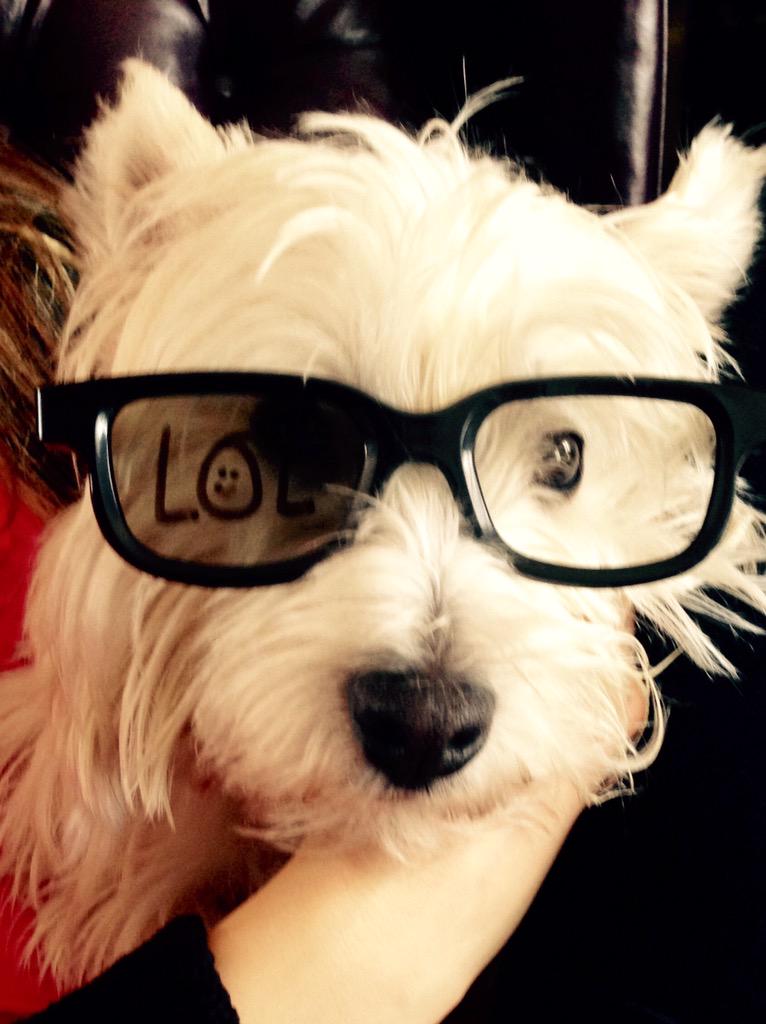 clovisgrise's tweet image. Hoooo with my favorite glasses! 😎🙈👓❤️