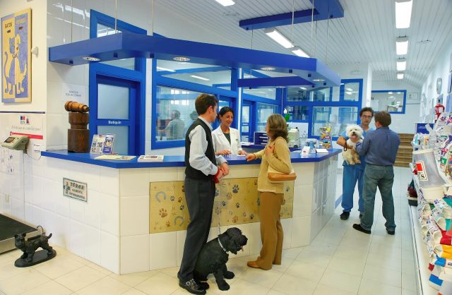 Hospitales fuera de Cuba y Venezuela.(España, Argentina). Un pequeño detalle; son hospitales veterinarios. B_2CF6DWcAA_lTj