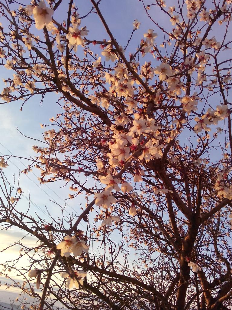 Seçkin Selçuk (@seckin23hal) on Twitter photo 