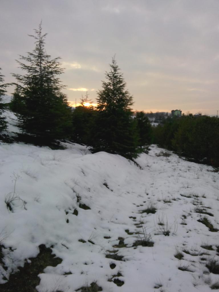 Seçkin Selçuk (@seckin23hal) on Twitter photo 