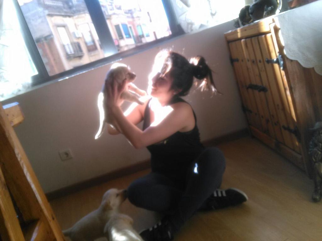 magiguzvan's tweet photo. Dia de perritos ;) goordooos =B http://t.co/AcYbyJqunb