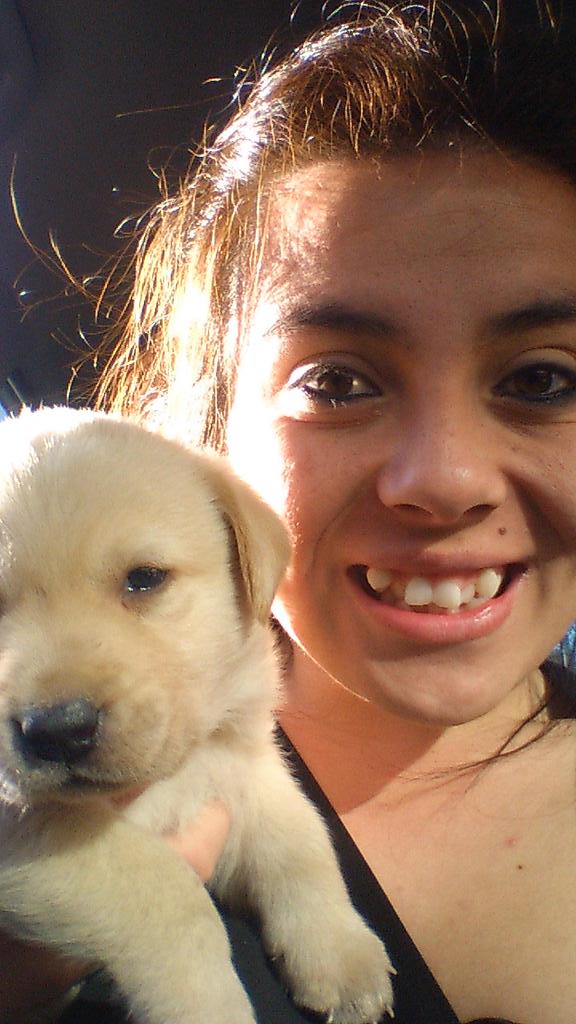 magiguzvan's tweet photo. Dia de perritos ;) goordooos =B http://t.co/AcYbyJqunb