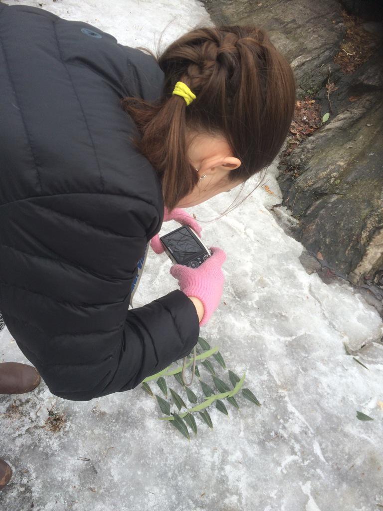 KatyGartside's tweet photo. Making Andy Goldsworthy style creations in Central Park, & taking pics of them #TSCIPW2015 http://t.co/oNumpXXyhV