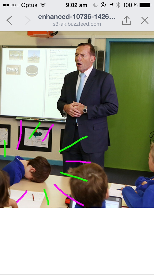 Daniella L tweet media