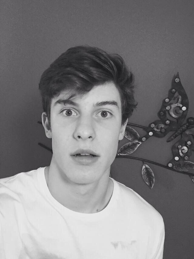 Shawn Mendes on Twitter "I want my long hair back"
