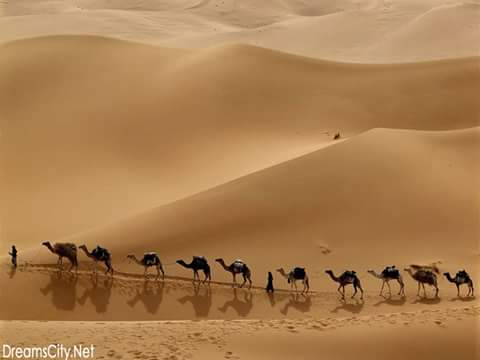 اورنس اورنس (@oransalanze) on Twitter photo 