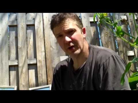 Emulate a Permaculture Food Forest In Your Vegetable Garden vid.staged.com/TDao #rawfood #health