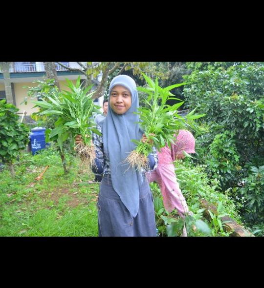 Selain Cabe Pelangi juga tanam Kangkung. Tumis kangkung pake cabe pelangi 😍😋 <a href="/IDberkebun/">Indonesia Berkebun</a> <a href="/bgrberkebun/">Bogor Berkebun</a> <a href="/IPBberkebun/">IPB Berkebun</a>