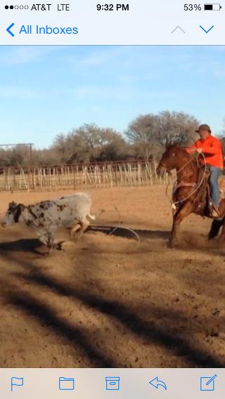 martin lucero (@mlteamroping) on Twitter photo 