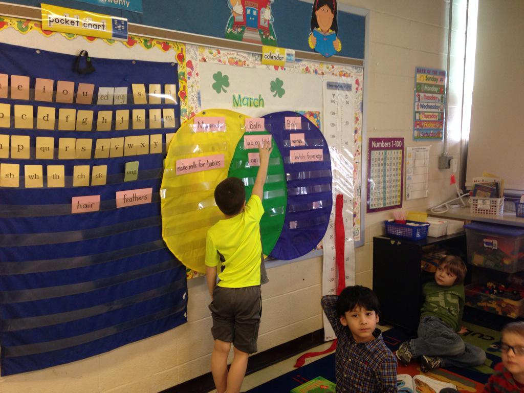 MrsSherlockj's tweet photo. We used the Venn diagram to compare two animal groups!  We love informational text!@Hwood_Pride http://t.co/8nxXAyfXZ1