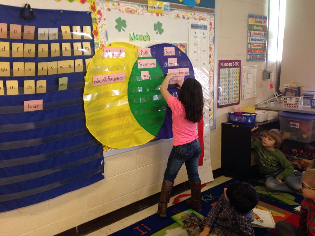 MrsSherlockj's tweet photo. We used the Venn diagram to compare two animal groups!  We love informational text!@Hwood_Pride http://t.co/8nxXAyfXZ1