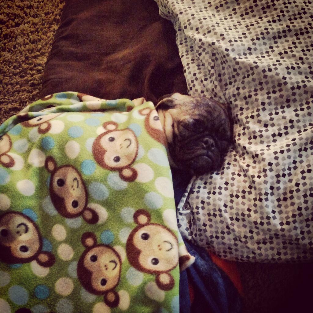 Ryan (@rudnick_ryan) | Twitter